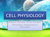 Cell Physiology (4).pptx
